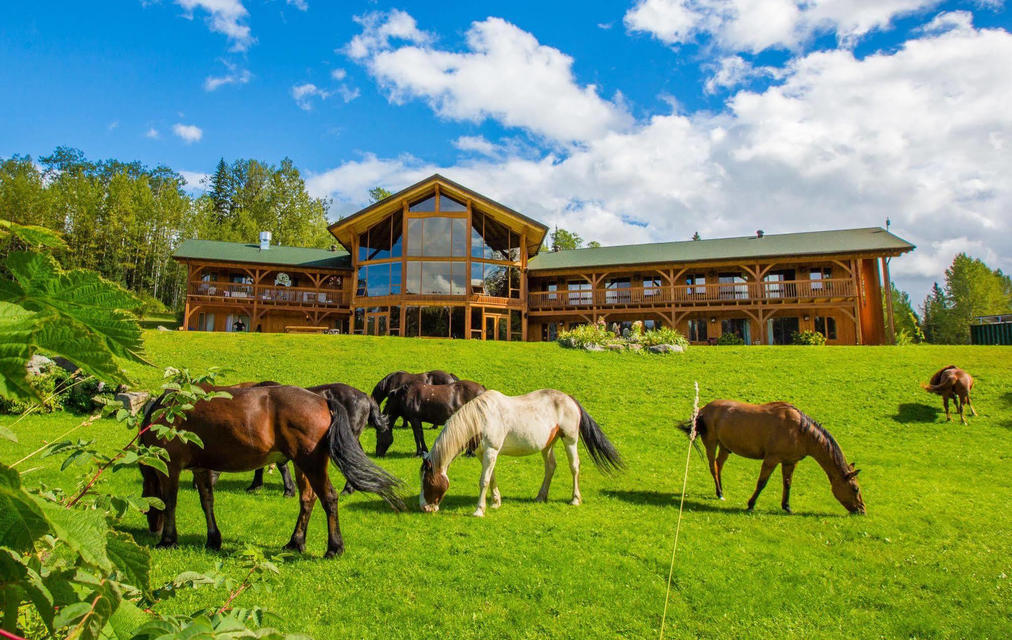 Bear Claw Lodge Kispiox 外观 照片